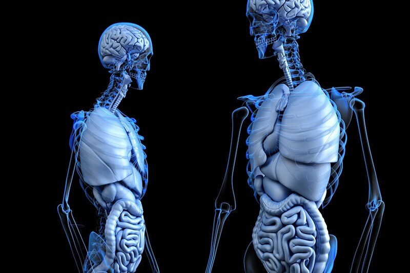 3D Medical Animation south africa