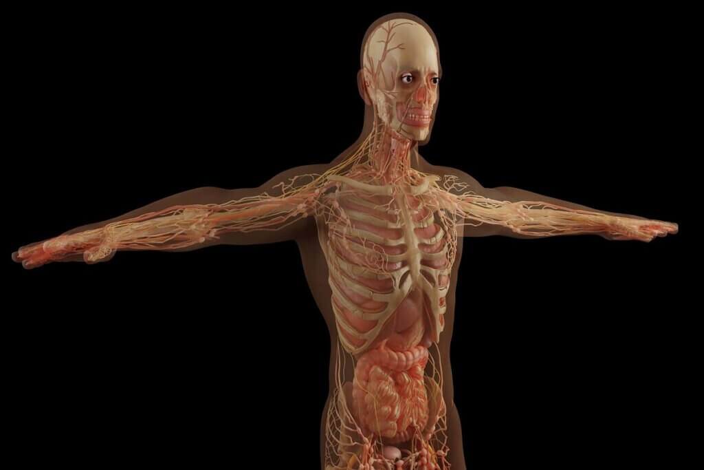 3D Medical Animation kzn